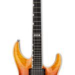 Avis ESP E-II Horizon NT-II Tiger Eye Amber Fade – Guitare électrique