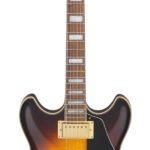 Avis Ibanez JSM10em Signature John Scofield Two-TONE Burst – Guitare électrique