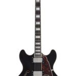Avis D’Angelico Premier DC Black Flake – Guitare électrique