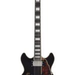 Avis D’Angelico Premier Mini DC Black Flake – Guitare électrique